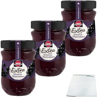 Schwartau Extra Schwarze Johannisbeere Konfitüre 3er Pack (3x340g Glas) + usy Block