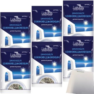 Liakada Sonnenblumenkerne Geröstet & Gesalzen Ungeschält 6er Pack (6x100g Beutel) + usy Block