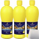 Leverno Zitronen-Fix 3er Pack (3x500ml Flasche) + usy Block
