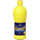 Leverno Zitronen-Fix 6er Pack (6x500ml Flasche) + usy Block