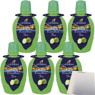 Leverno Limetten-Fix aus Italien 6er Pack (6x100ml Flasche) + usy Block