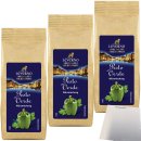 Leverno Pesto Verde Würzmischung für Pasta...