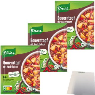 Knorr Fix Bauern-Topf mit Hackfleisch Würzmischung 3er Pack (3x43g Packung) + usy Block