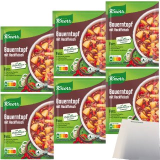 Knorr Fix Bauern-Topf mit Hackfleisch Würzmischung 6er Pack (6x43g Packung) + usy Block