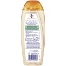 CD Dusche Glücksgefühle (250ml Flasche)