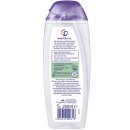 CD Feuchtigkeitsdusche Wasserlilie (250ml Flasche)