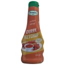 Develey exotisch würziger Curry Ketchup (250ml Flasche)