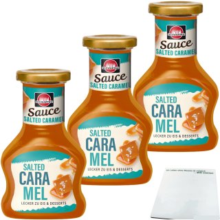 Schwartau Dessert Sauce Salted Caramel 3er Pack (3x125ml Flasche) + usy Block