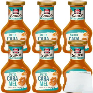 Schwartau Dessert Sauce Salted Caramel 6er Pack (6x125ml Flasche) + usy Block