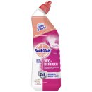 Sagrotan WC-Reiniger Blütenfrische VPE (12X750 ml...