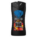 AXE Duschgel Skateboard & Fresh Roses Scent 6er...