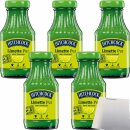 Hitchcock Limette Pur 5er Pack (5x200ml Flasche) + usy Block