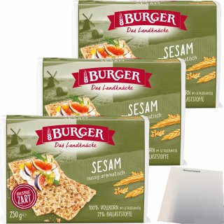 Burger das Landknäcke Sesam nussig aromatisch 3er Pack (3x250g Packung) + usy Block
