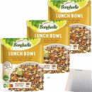 Bonduelle Lunch Bowl Quinoa 3er Pack (3x250g Beutel) +...