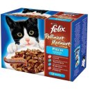 Felix Raffiniert-Mariniert Fisch Mix, 12x 100g
