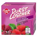 Durstlöscher Erdbeer Himbeer VPE (12x0,5l)