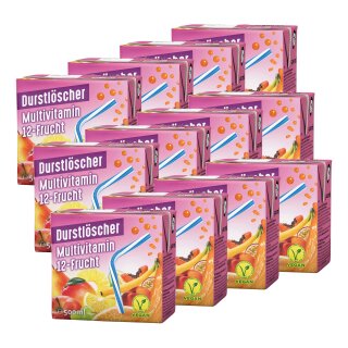 Durstlöscher Multivitamin VPE (12x0,5l Packung)