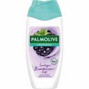 Palmolive DG Smoothies Blackberry (250ml Flasche)