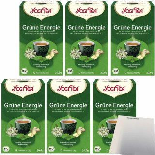 Yogi Tea Grüne Energie 6er Pack (6x30,6g Beutel) + usy Block
