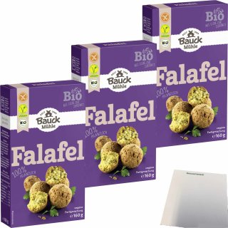 Bauck Bio Falafel Fertigmischung 3er Pack (3x160g Packung) + usy Block