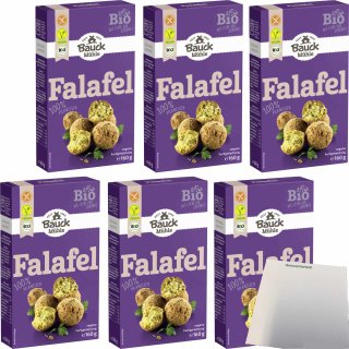 Bauck Bio Falafel Fertigmischung 6er Pack (6x160g Packung) + usy Block