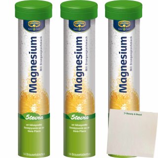 Day by Day Magnesium effervescent tablets with Stevia (1x14 pcs can)