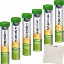Day by Day Magnesium- Brausetabletten mit Stevia (1x14Stk...