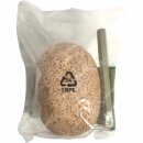 Kosmos Dino-Eier 6er Pack (6 Dinosaurier Eier zum ausgraben) + usy Block