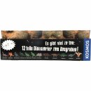 Kosmos Dino-Eier 6er Pack (6 Dinosaurier Eier zum ausgraben) + usy Block