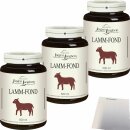 Jürgen Langbein Lamm Fond 3er Pack (3x500ml Glas) +...