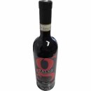 Tenuta La Meridiana Salus Barbera DAsti 13% vol. (750ml Flasche)