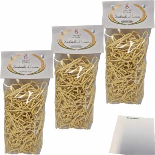Gisellas Bottega Scialatelli al Limone, Nudeln mit Zitronenaroma 3er Pack (3x500g Packung) + usy Block