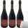 Fragolino Rocca dei Forti italienischer Rotwein 10% vol. 3er Pack (3x0,75l Flasche) + usy Block