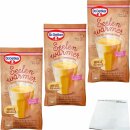 Dr. Oetker Seelenwärmer Vanille 3er Pack (3x58g...