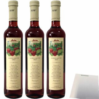 Darbo Fruchtsirup Erdebeer und Limette 3er Pack (3x0,5l Flasche) + usy Block