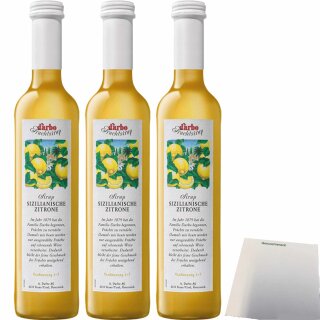 Darbo Fruchtsirup Sizilianische Zitrone 3er Pack (3x0,5l Flasche) + usy Block