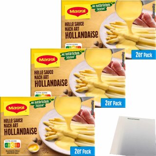 Maggi Helle Sauce nach Art Hollandaise für 2x250ml 3er Pack (3x80g Packung) + usy Block