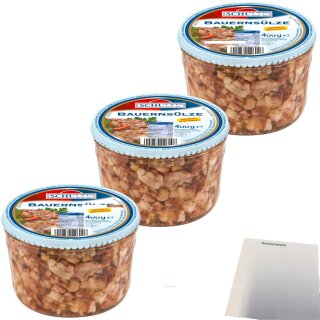 Schulte Bauernsülze 3er Pack (3x400g Glas) + usy Block