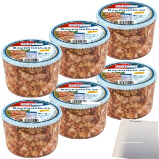 Schulte Bauernsülze 6er Pack (6x400g Glas) + usy Block