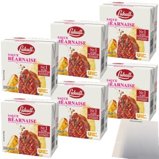 Lukull Sauce Bearnaise Gastro Qualität 6er (6x250ml Packung) + usy Block