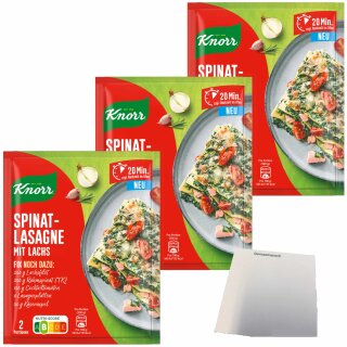 Knorr Fix Spinatlasagne mit Lachs 3er Pack (3x40g Packung) + usy Block