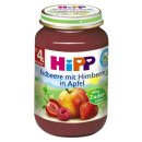 Hipp Erdbeere mit Himbeere in Apfel, 190g