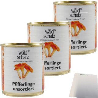 Waldschatz Pfifferlinge 3er Pack (3x290g Dose) + usy Block