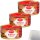 Dreistern Rindfleisch in eigenen Saft 3er Pack (3x300g Dose) + usy Block