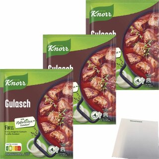 Knorr Fix Gulasch 3er Pack (3x49g Packung) + usy Block