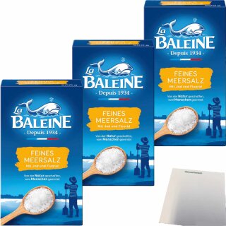La Baleine Meersalz fein mit Jod & Fluorid 3er Pack (3x500g Packung) + usy Block