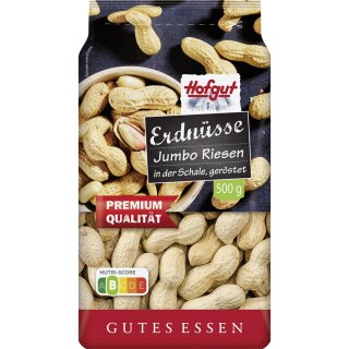 Hofgut Erdnüsse in Schale (500g Beutel)