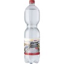 Hofgut Mineralwasser Medium (1,5l Flasche)