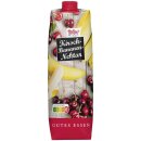 Hofgut Kirsch-Bananen-Nektar (1l Packung)