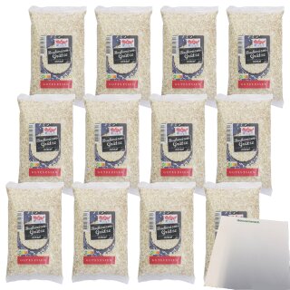 Hofgut Buchweizengrütze VPE (12x250g Beutel) + usy Block